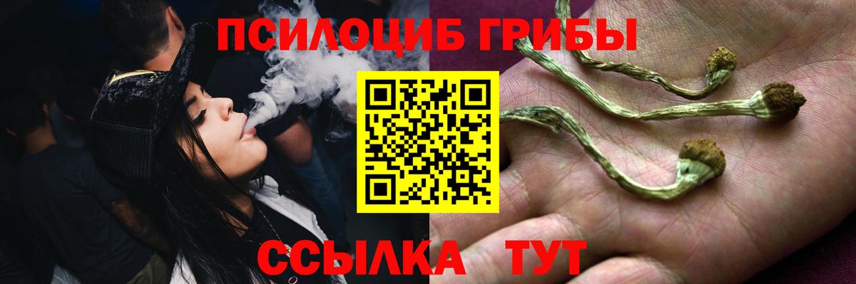 Псилоцибиновые грибы Magic Shrooms Сердобск
