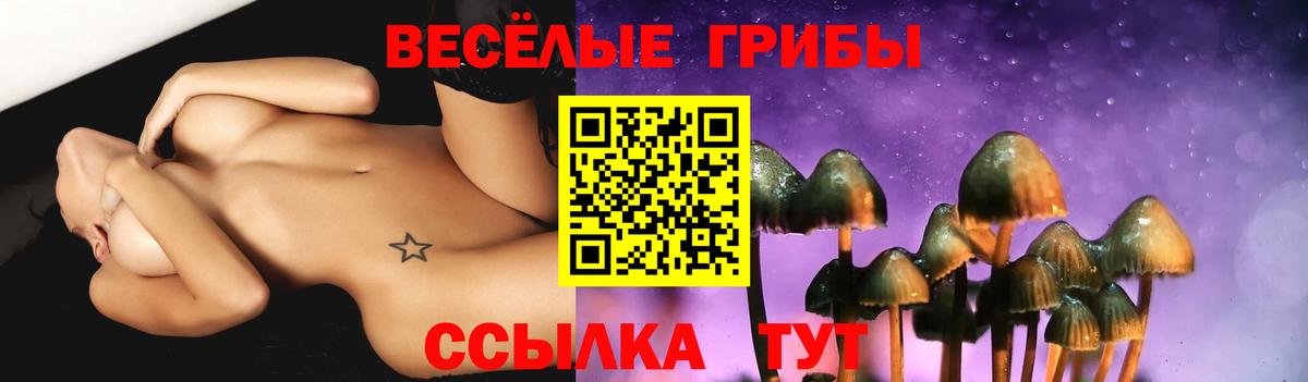 Галлюциногенные грибы мицелий  Вход с VPN  Псилоцибиновые грибы мухоморы  Сердобск 